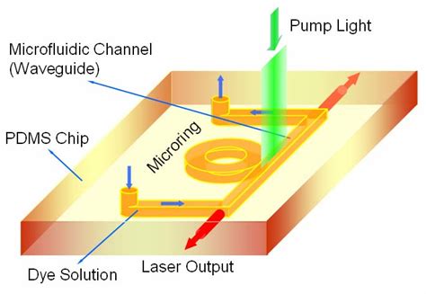 Schematic Diagram Of An Optofluidic Microring Dye Laser Chip