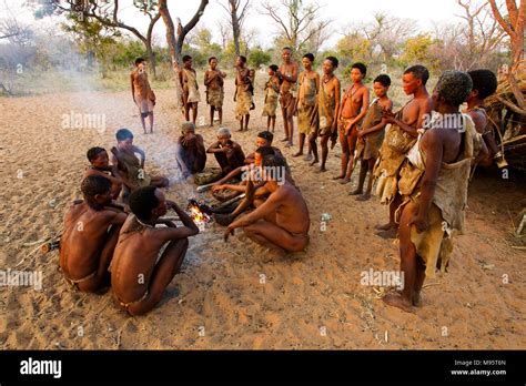 Ju Hoansi Or San Bushmen In Daily Activities Around A Campfire At Their Village Grashoek