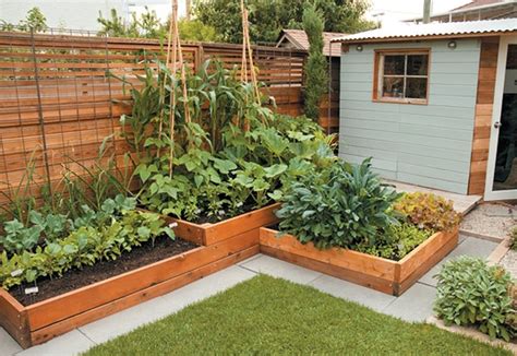 Affordable Backyard Vegetable Garden Designs Ideas 01