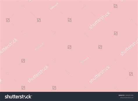 Baby Pink Solid Color Background Plain Stock Illustration 1995251426