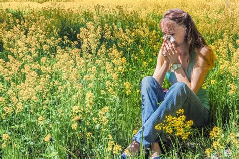 Allergic Reactions To Spring Flowers Pollen Stock Photo Image Of