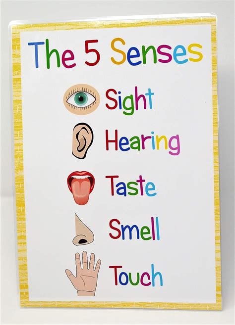 Kids2learn The Five Senses A4 Poster Sign Educational Nursery Sen 47d