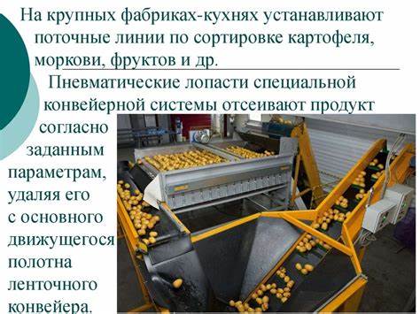 Кулинарная обработка диеты 10 Основные способы кулинарной обработки пищевых продуктов - презентация Основные способы кулинарной обработки пищевых продуктов - презентация Кулинарная обработка диеты 10