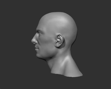 Male Head Realistic Base Mesh 3d Model 3d Model Cgtrader