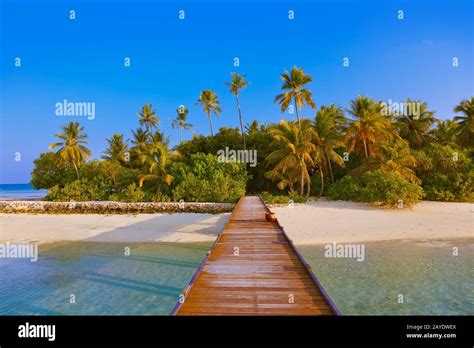 Tropical Maldives Island Stock Photo Alamy