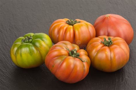 Marinda Tomatoes Stock Photo Image Of Natural Meaty 53871504