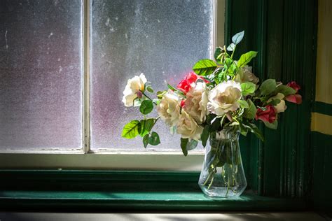 Download White Flower Window Vase Flower Photography Still Life 4k