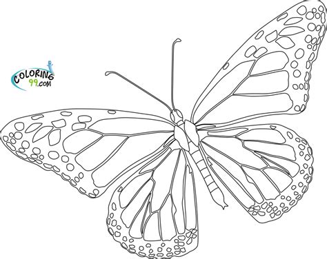 Monarch Caterpillar Coloring Page