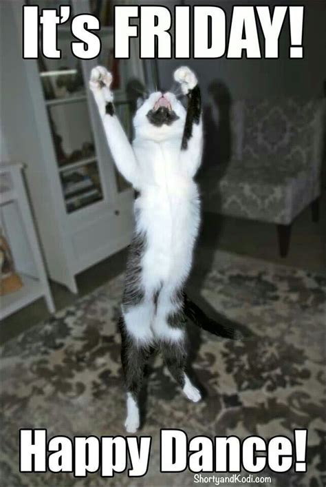 The Friday Happy Dance Animal Cat Funnies Pinterest