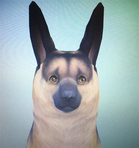 According To Sims 4 Dog Adoption Services This Right Here Is A “german