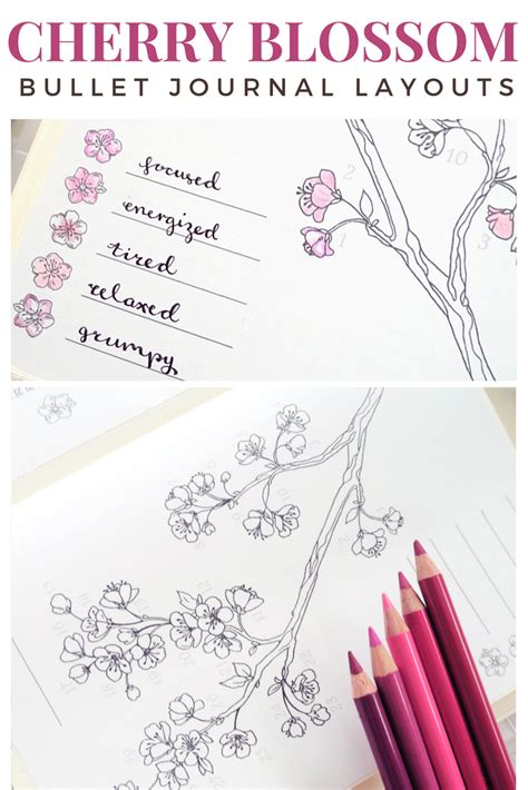 Spring Bullet Journal Layout Cherry Blossoms — Evydraws Bullet