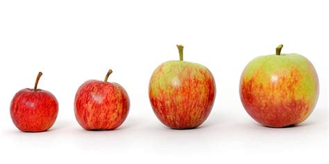 That's a question best answered by a professional. Ask the Expert: How Many Calories Should I Be Eating ...