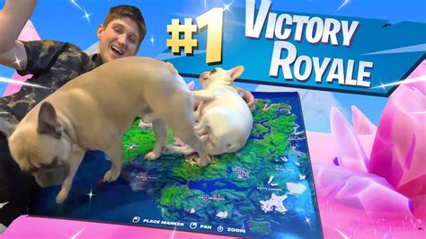 Using My Puppies To Win In Fortnite Chapter 2 Youtube