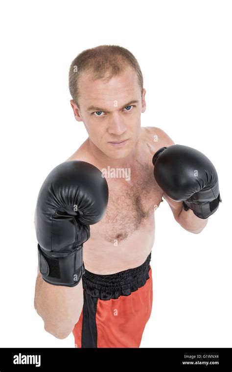 Portrait Of Boxer Performing Boxing Stance Stock Photo Alamy