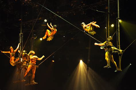 Cirque Du Soleil S Ovo Review At Royal Albert Hall London