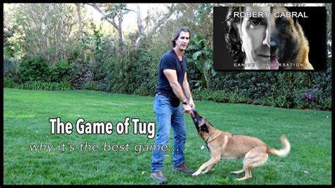 The Game Of Tug Robert Cabral Dog Training 11 Youtube
