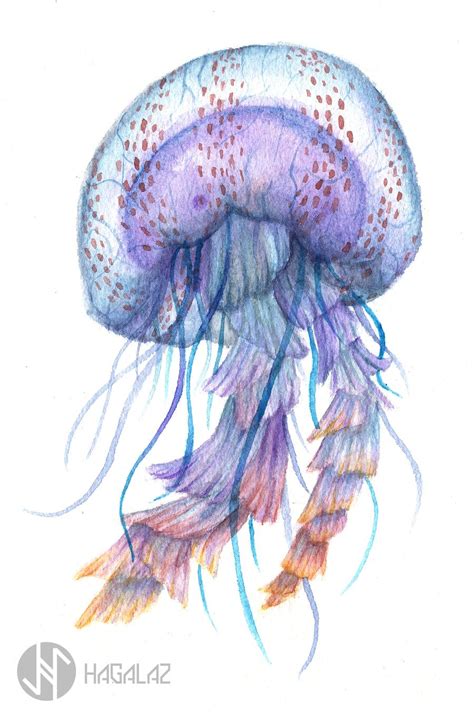 Jellyfish By Hagalaz Paintings On DeviantArt Painting Drawing