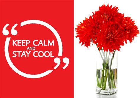 Keep Calm And Stay Cool Floralife