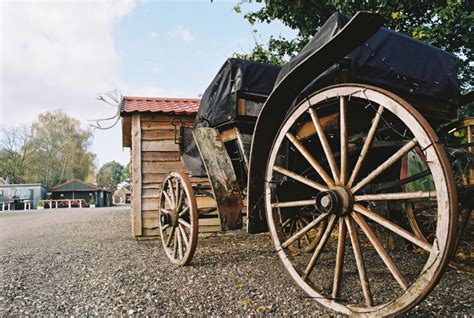 Daily Brief Singapore: Jardine Cycle & Carriage and more | Smartkarma