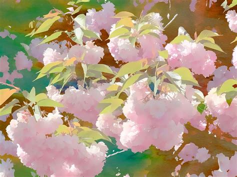 Cherry Blossom Digital Art By Karen Matthews