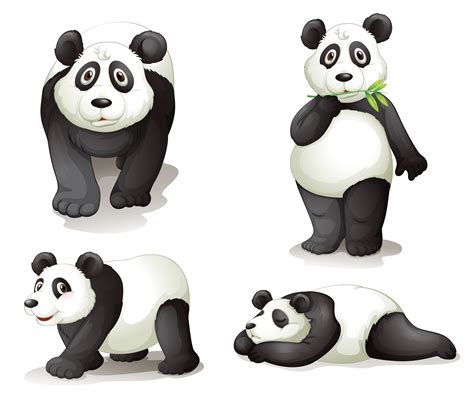 A Panda 434145 Vector Art At Vecteezy