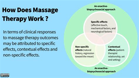 an evidence based approach to massage therapy — richard lebert registered massage therapy