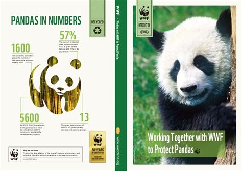 Raising Awareness Of The Wwfs Panda Conservation Projects