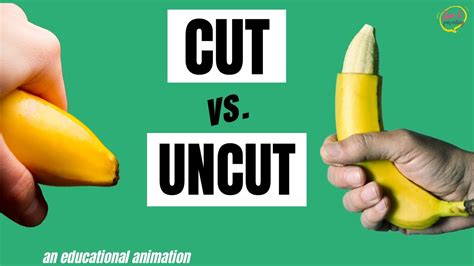 Circumcised Vs Uncircumcised Animation Video Puberty For Boys Stages
