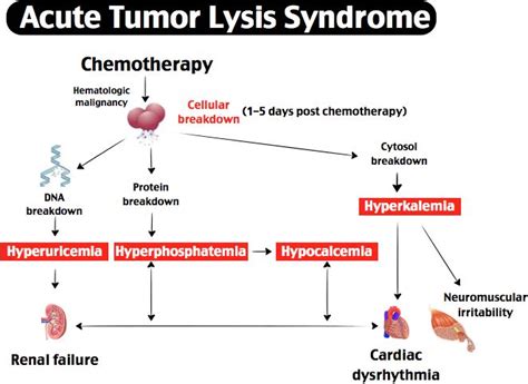 Rosh Review Tumor Lysis Syndrome Medical Mnemonics Clinical Chemistry