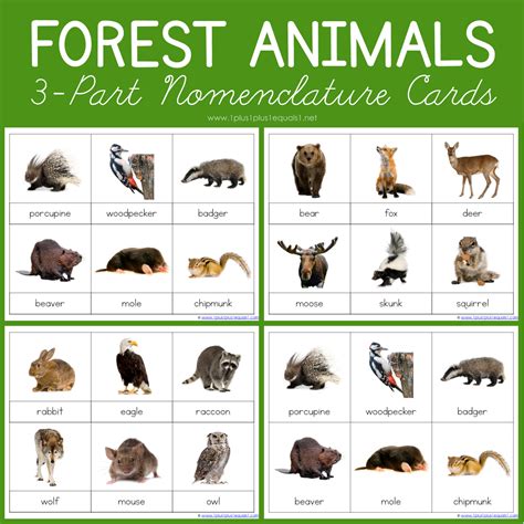 Forest Animals Montessori Printables Free 3 Part Cards 1111
