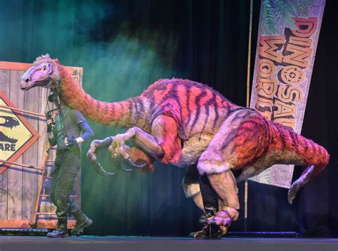 Dinosaur World Live Birmingham Town Hall Review With Pictures