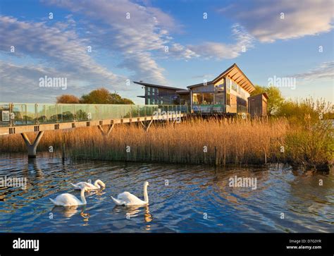 Attenborough Nature Centre Eco Building With Swans In The Reclaimed