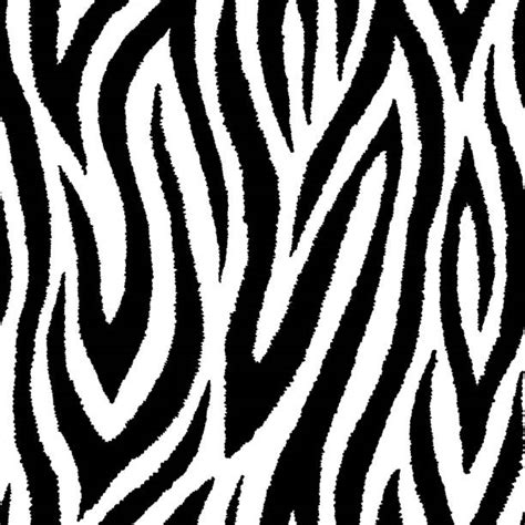 black and white zebra print illustrations royalty free vector graphics and clip art istock