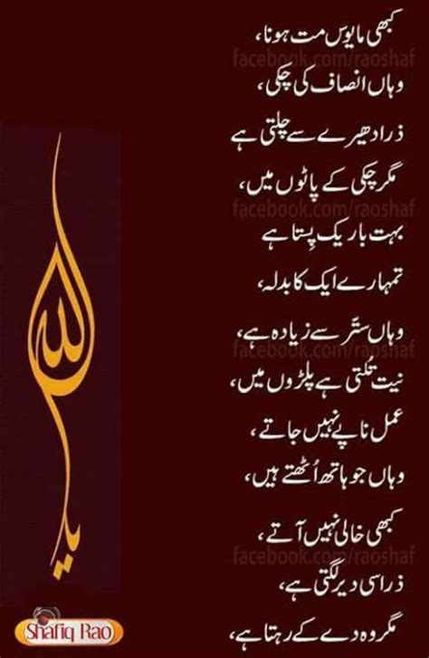 Most social media users like to. Pin by Shagufta naz on urdu poetry my choice | Urdu poetry