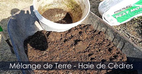 Haie De Thuyas Comment Planter Une Haie De C Dres Instructions