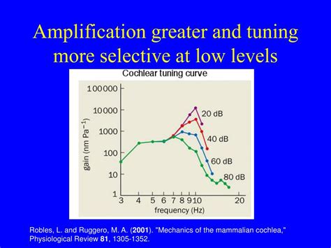 Ppt Hearing And Deafness 1 Anatomy And Physiology Powerpoint