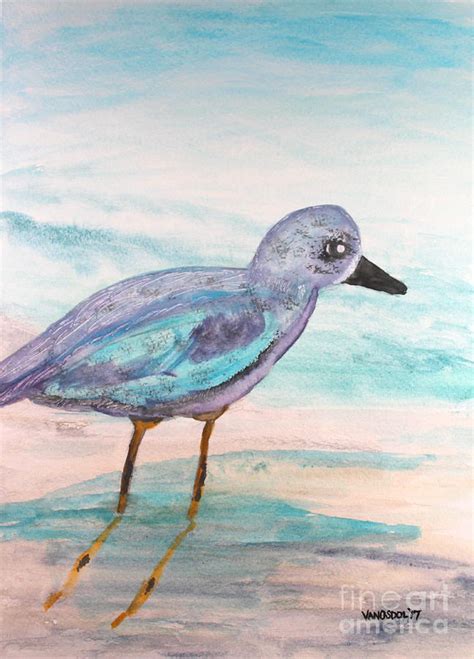 Young Seagull On Beach Watercolor Painting Painting By Scott D Van
