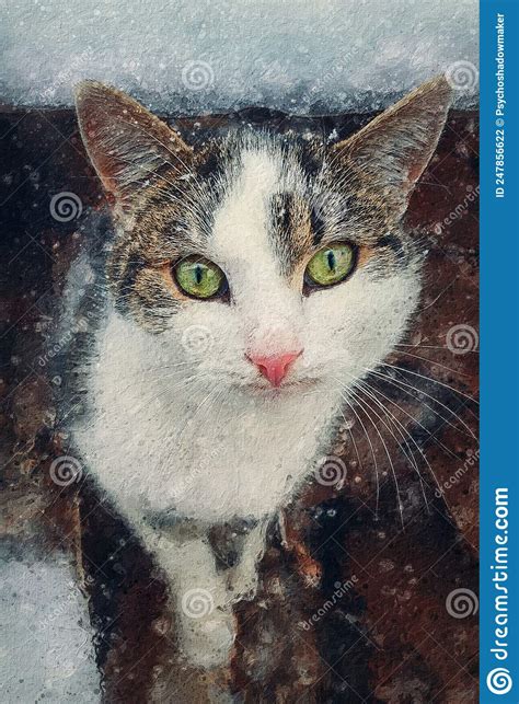 Winter Season Cat Portrait Close Up Kitten Outdoor Sheltering From