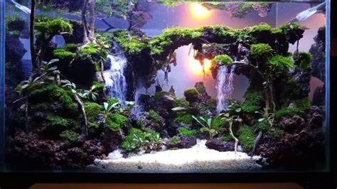 25 Best Aquascaping Ideas With Instructional Guide For 2022