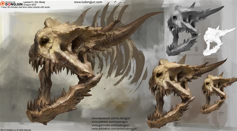 Lesson11 Dragon Skull By Dongjunlu On Deviantart