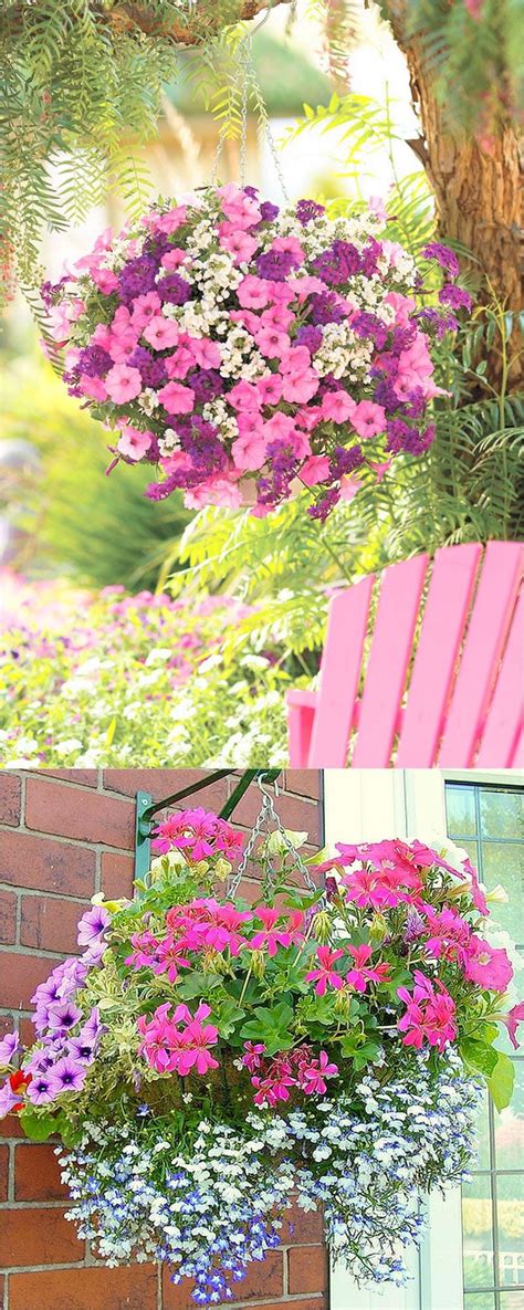 Delicate campanulas are the flowers to choose from for an elegant the charming million bells (or calibrachoa) is one of the best flowers for hanging baskets, mostly. How to Plant Beautiful Flower Hanging Baskets ( & 20+ Best ...