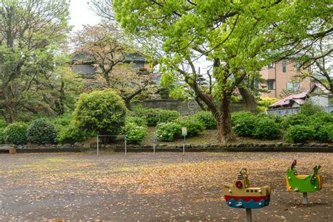 Children S Playground In Shizuoka Japan Stock Photo Image Of Life