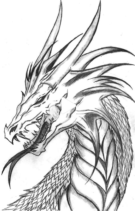 Cool Dragon Coloring Page 214 Best Free Svg File