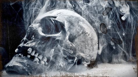 48 Skull Wallpapers Hd On Wallpapersafari