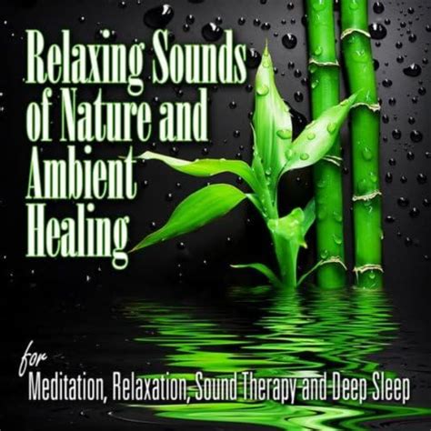 Relaxing Sounds Of Nature And Ambient Healing For Mediation Relaxation Sound Therapy And Deep