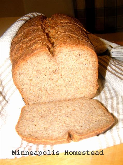 Using wheat gluten, golden flax and oat fibre. Low Carb Bread Recipe in 2020 | No yeast bread, Low carb baking, Lowest carb bread recipe