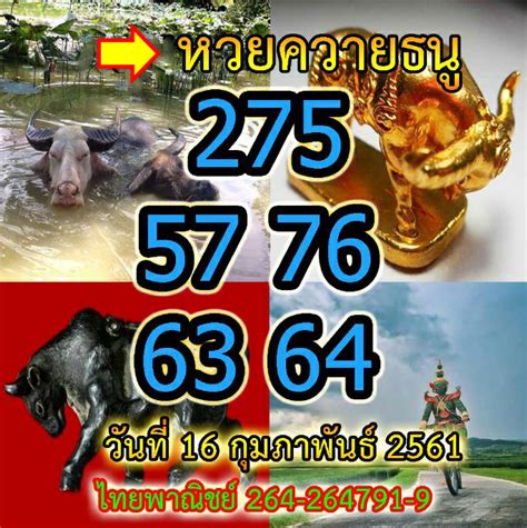ผลสลากกินแบ่งรัฐบาล งวดประจำวันที่ 16 กุมภาพันธ์ 2564 หรือ ตรวจหวย รางวัลอื่นๆ ที่น่าสนใจ คือ. หวยควายธนู งวดวันที่ 16 กุมภาพันธ์ 2561 - เลขเด็ด ซองดัง