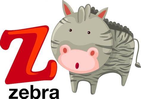 Animal De Cebra Y Letra Z Para Niños Educación Abc Vector Premium