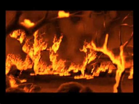 keep classy , stylish and cool gold black theme for 24 hours to unlock 2d effects. Lion king - Fire Burning - YouTube