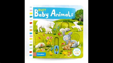 Busy Baby Animals Board Book By Campbell Youtube